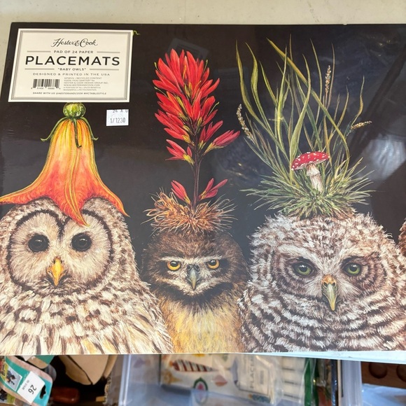 Hester & Cook Baby Owls Paper Placemat 24 Sheets Vicki Sawyer American Made - Picture 6 of 7